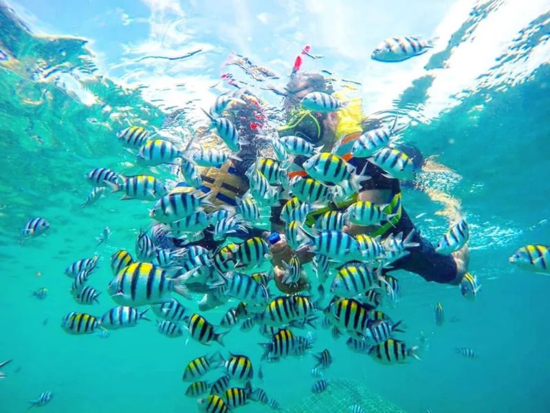 Lombok Pranata Trans